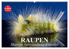 Cover Raupen. Skurrile Verwandlungskünstler (Wandkalender 2026 DIN A2 quer), CALVENDO Monatskalender