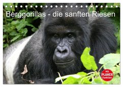 Berggorillas - die sanften Riesen (Tischkalender 2026 DIN A5 quer), CALVENDO Monatskalender Berggorillas - die sanften Riesen (Tischkalender 2026 DIN A5 quer), CALVENDO Monatskalender