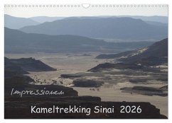 Cover Impressionen Kameltrekking Sinai 2026 (Wandkalender 2026 DIN A3 quer), CALVENDO Monatskalender
