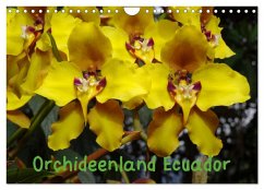 Cover Orchideenland Ecuador (Wandkalender 2026 DIN A4 quer), CALVENDO Monatskalender