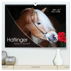 Haflinger-Pferde in Reinzucht (hochwertiger Premium Wandkalender 2026 DIN A2 quer), Kunstdruck in Hochglanz
