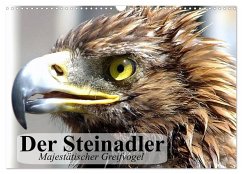 Der Steinadler. Majestätischer Greifvogel (Wandkalender 2026 DIN A3 quer), CALVENDO Monatskalender