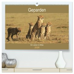Geparden - Ein Leben in Afrika (hochwertiger Premium Wandkalender 2026 DIN A2 quer), Kunstdruck in Hochglanz Geparden - Ein Leben in Afrika (hochwertiger Premium Wandkalender 2026 DIN A2 quer), Kunstdruck in Hochglanz