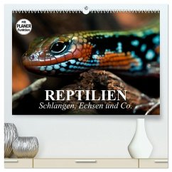 Reptilien. Schlangen, Echsen und Co. (hochwertiger Premium Wandkalender 2026 DIN A2 quer), Kunstdruck in Hochglanz