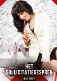 Het sollicitatiegesprek