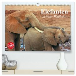 Cover Elefanten in freier Wildbahn (hochwertiger Premium Wandkalender 2026 DIN A2 quer), Kunstdruck in Hochglanz