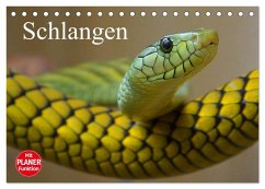 Schlangen (Tischkalender 2026 DIN A5 quer), CALVENDO Monatskalender