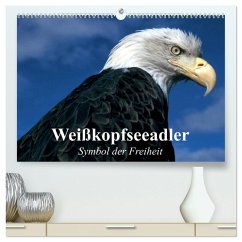 Weißkopfseeadler. Symbol der Freiheit (hochwertiger Premium Wandkalender 2026 DIN A2 quer), Kunstdruck in Hochglanz