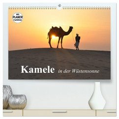 Kamele in der Wüstensonne (hochwertiger Premium Wandkalender 2026 DIN A2 quer), Kunstdruck in Hochglanz
