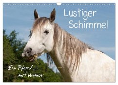 Lustiger Schimmel - ein Pferd mit Humor (Wandkalender 2026 DIN A3 quer), CALVENDO Monatskalender