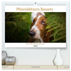 Cover Der Basset, eine LANGE und besondere Liebe (hochwertiger Premium Wandkalender 2026 DIN A2 quer), Kunstdruck in Hochglanz