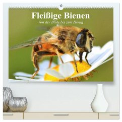 Fleißige Bienen. Von der Blüte bis zum Honig (hochwertiger Premium Wandkalender 2026 DIN A2 quer), Kunstdruck in Hochglanz Fleißige Bienen. Von der Blüte bis zum Honig (hochwertiger Premium Wandkalender 2026 DIN A2 quer), Kunstdruck in Hochglanz