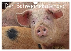 Cover Der Schweinekalender (Wandkalender 2026 DIN A4 quer), CALVENDO Monatskalender