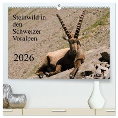 Cover Steinwild in den Schweizer Voralpen (hochwertiger Premium Wandkalender 2026 DIN A2 quer), Kunstdruck in Hochglanz