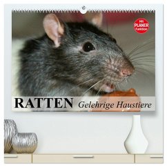 Ratten. Gelehrige Haustiere (hochwertiger Premium Wandkalender 2026 DIN A2 quer), Kunstdruck in Hochglanz Ratten. Gelehrige Haustiere (hochwertiger Premium Wandkalender 2026 DIN A2 quer), Kunstdruck in Hochglanz