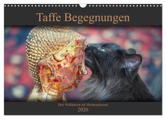 Taffe Begegnungen-Drei Waldkatzen auf Abenteuerreisen (Wandkalender 2026 DIN A3 quer), CALVENDO Monatskalender