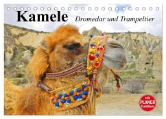 Kamele. Dromedar und Trampeltier (Tischkalender 2026 DIN A5 quer), CALVENDO Monatskalender Kamele. Dromedar und Trampeltier (Tischkalender 2026 DIN A5 quer), CALVENDO Monatskalender