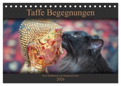 Taffe Begegnungen-Drei Waldkatzen auf Abenteuerreisen (Tischkalender 2026 DIN A5 quer), CALVENDO Monatskalender