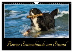 Cover Berner Sennenhunde am Strand (Wandkalender 2026 DIN A4 quer), CALVENDO Monatskalender