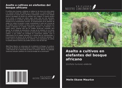 Asalto a cultivos en elefantes del bosque africano - Maurice, Melle Ekane