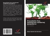 Brazylijskie fora po¿wi¿cone solidarnej gospodarce Brazylijskie fora po¿wi¿cone solidarnej gospodarce