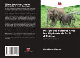 Pillage des cultures chez les éléphants de forêt d'Afrique Pillage des cultures chez les éléphants de forêt d'Afrique