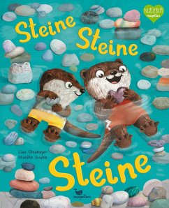 Cover Steine, Steine, Steine