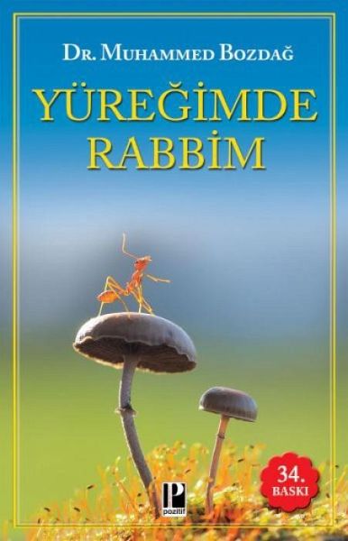 Yüregimde Rabbim Yüregimde Rabbim