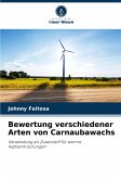 Bewertung verschiedener Arten von Carnaubawachs Bewertung verschiedener Arten von Carnaubawachs