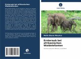 Ernteraub bei afrikanischen Waldelefanten Ernteraub bei afrikanischen Waldelefanten