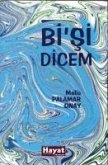 BiSi Dicem BiSi Dicem