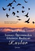 Ucmayi Ögrenmeden Göcmeye Baslayan Kuslar Ucmayi Ögrenmeden Göcmeye Baslayan Kuslar