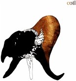 Black Antlers Black Antlers