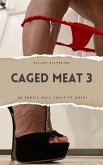 Caged Meat 3 (eBook, ePUB) Caged Meat 3 (eBook, ePUB)