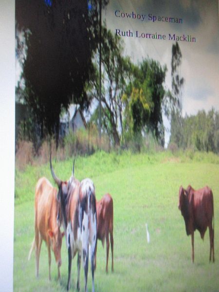 Cowboy Spaceman (eBook, ePUB) Cowboy Spaceman (eBook, ePUB)