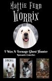 I Was A Teenage Ghost Hunter Romantic Comedies (eBook, ePUB) I Was A Teenage Ghost Hunter Romantic Comedies (eBook, ePUB)