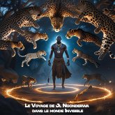 Le voyage de JL Ngonderwa dans le monde invisible (eBook, ePUB)