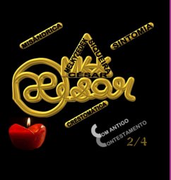 Misândrica Sintomia Crestomática (eBook, ePUB) - César, Melkyzedek Siqueira