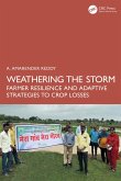 Weathering the Storm (eBook, PDF)