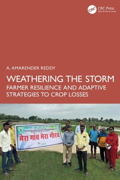 Cover Weathering the Storm (eBook, PDF)