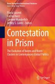 Contestation in Prism (eBook, PDF)