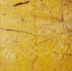 Cover David Hammons