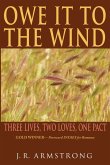 Owe It To The Wind