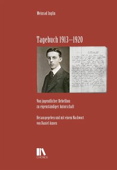 Cover Tagebuch 1913-1920