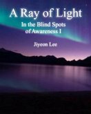 In the Blind Spots of Awareness I : A Ray of Light (eBook, ePUB) In the Blind Spots of Awareness I : A Ray of Light (eBook, ePUB)