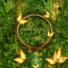Waldfeenprinz (MP3-Download) - Bild 1