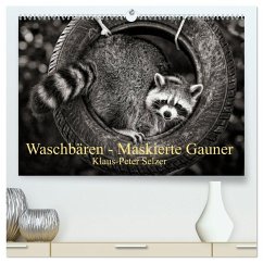 Waschbären - Maskierte Gauner (hochwertiger Premium Wandkalender 2026 DIN A2 quer), Kunstdruck in Hochglanz