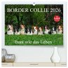 Border Collie 2026 (hochwertiger... - Bild 1