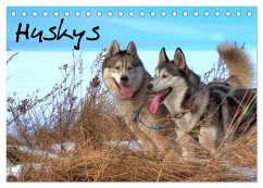 Huskys (Tischkalender 2026 DIN A5 quer), CALVENDO Monatskalender Huskys (Tischkalender 2026 DIN A5 quer), CALVENDO Monatskalender