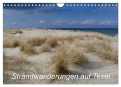 Cover Strandwanderungen auf Texel (Wandkalender 2026 DIN A4 quer), CALVENDO Monatskalender